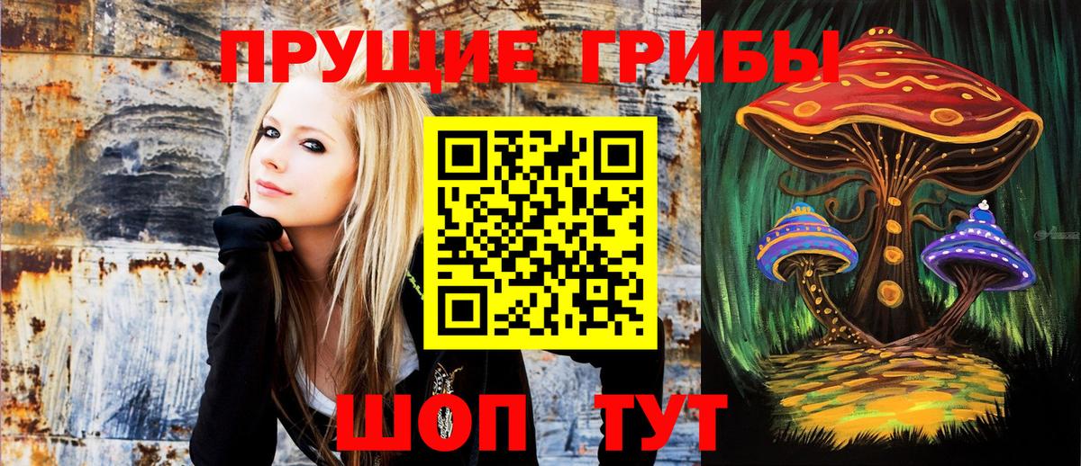 Владивосток  Псилоцибиновые грибы мицелий  Вход с VPN 